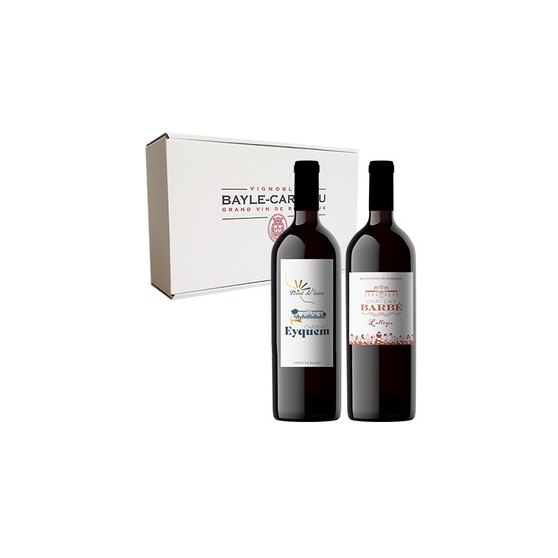 COFFRET CARTON N°7 - 2 MAGNUMS