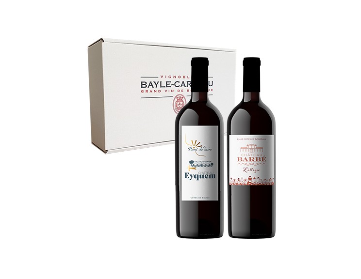 COFFRET CARTON N°7 - 2 MAGNUMS
