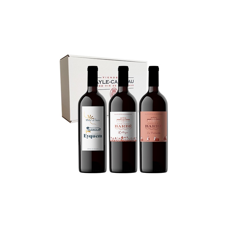 COFFRET CARTON N°8 - 3 MAGNUMS