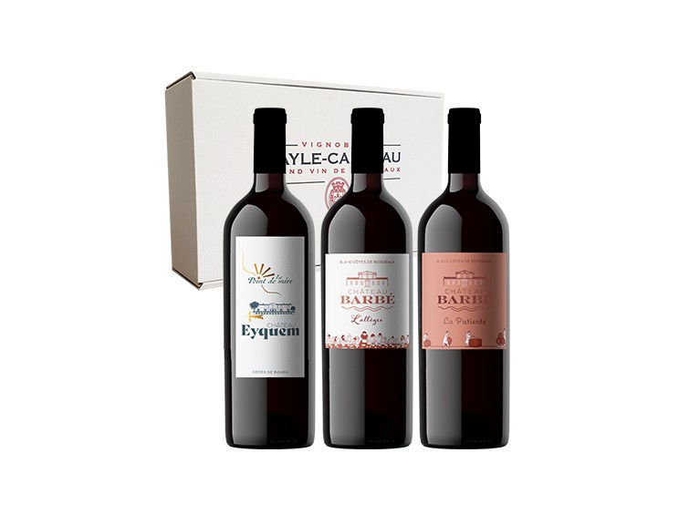 COFFRET CARTON N°8 - 3 MAGNUMS
