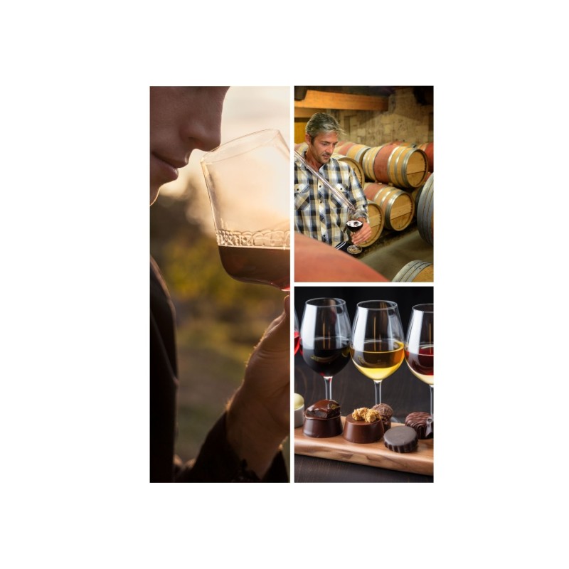 VISITE & DEGUSTATION