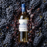 CHÂTEAU PARDAILLAN - FRUIT NOIR - BLANC SEC