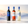 CHÂTEAU PARDAILLAN - FRUIT NOIR - BLANC SEC